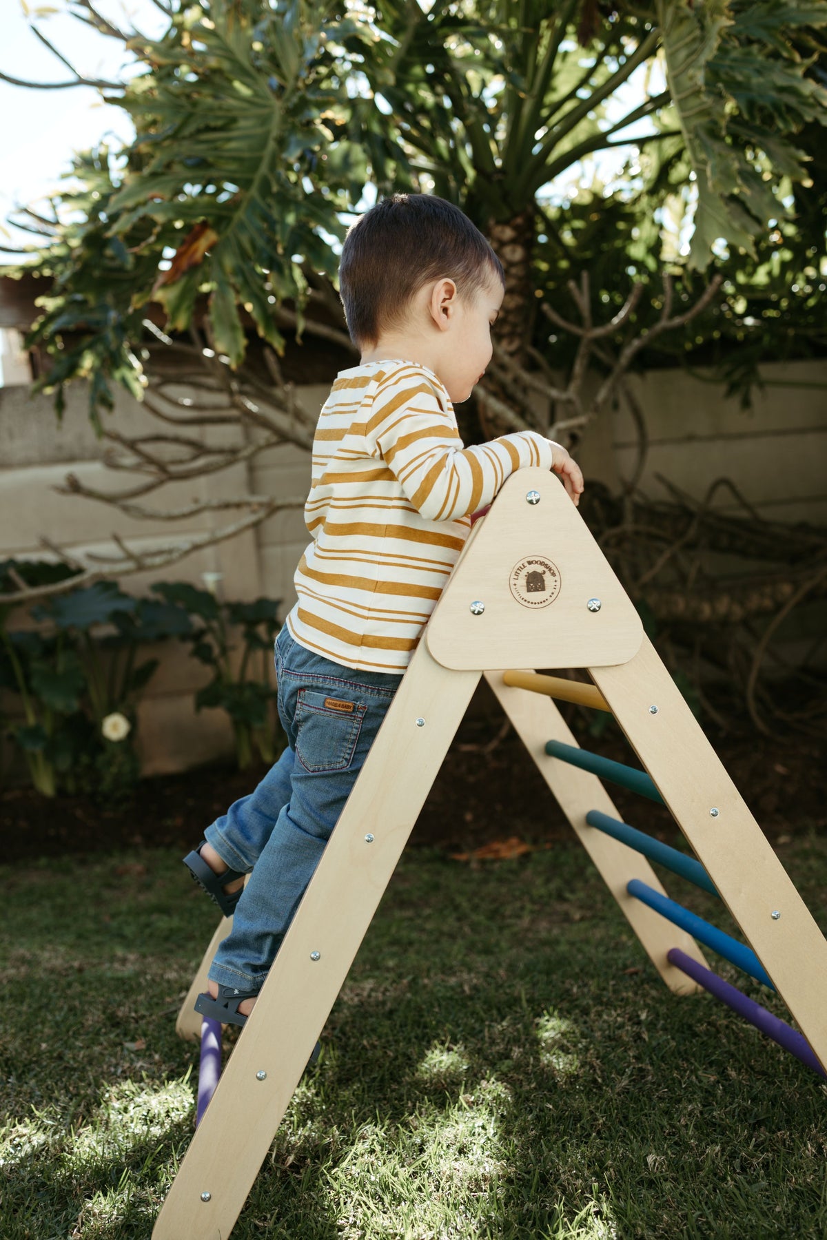 Pikler Triangle